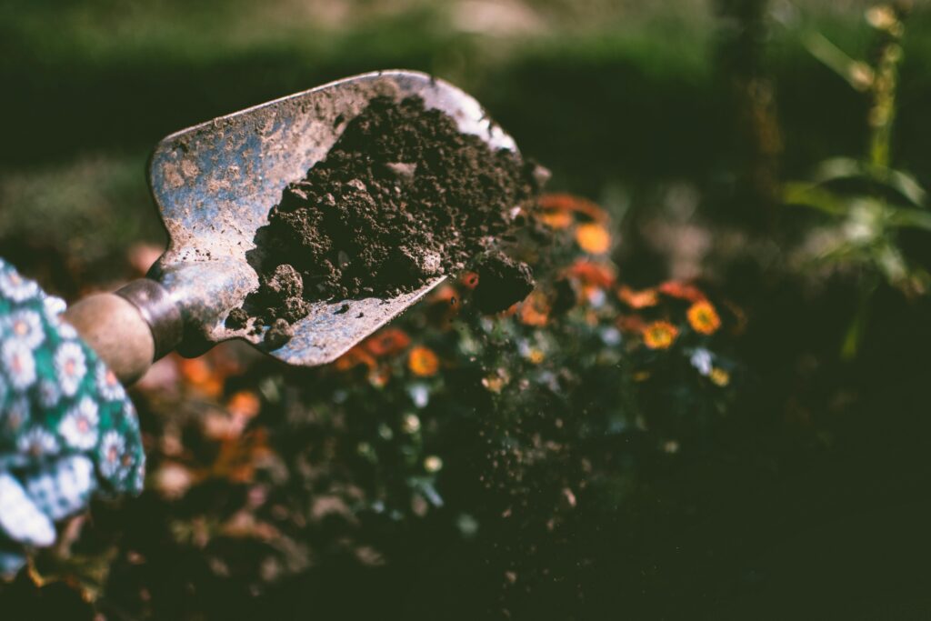 Person using a garden shovel to dig soil with plants in the background.