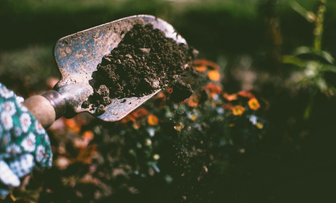 Person using a garden shovel to dig soil with plants in the background.