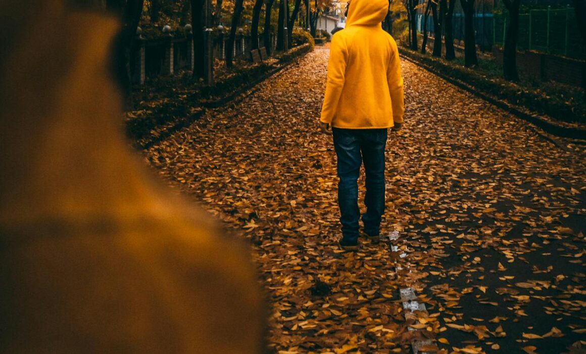 Person walking along a tree-lined path symbolising a long journey