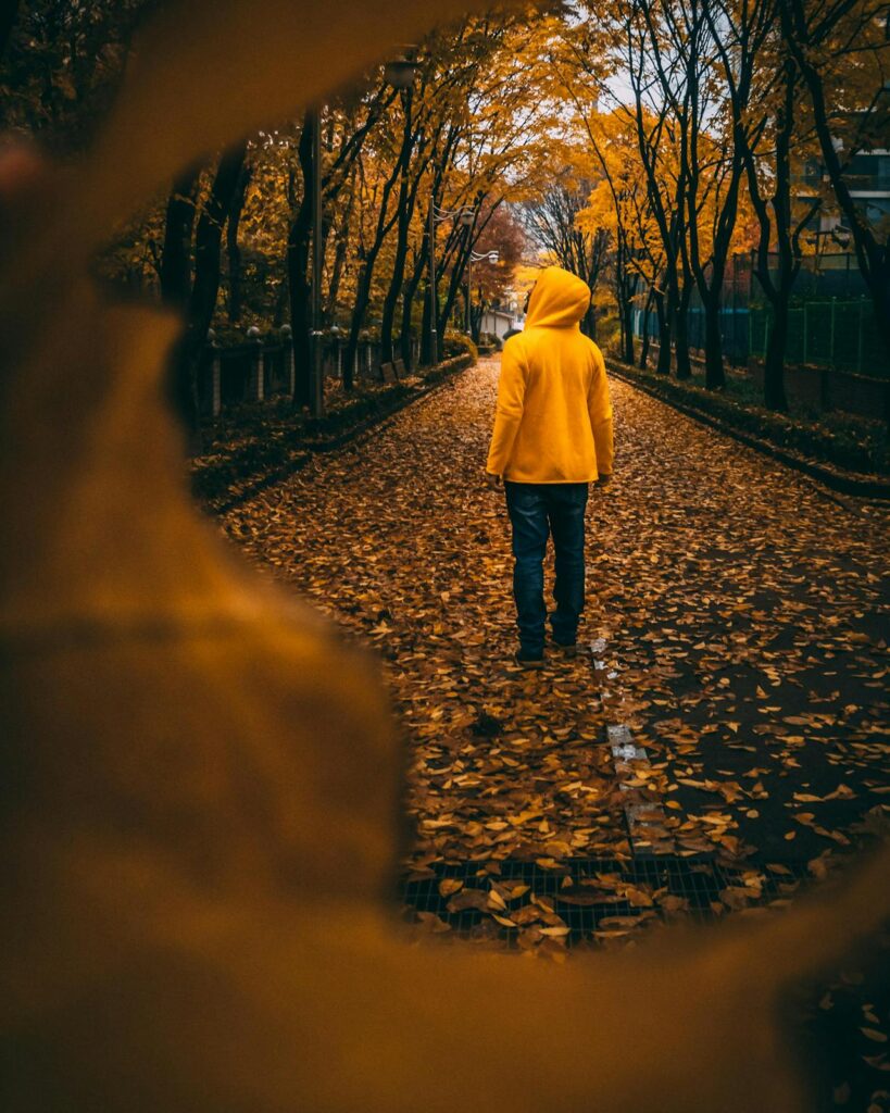 Person walking along a tree-lined path symbolising a long journey